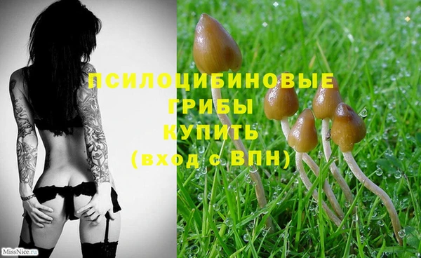 MDMA Белоозёрский