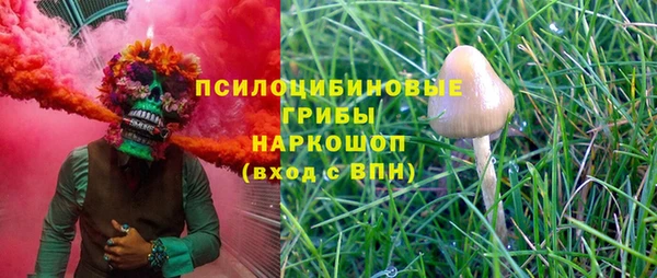 COCAINE Белокуриха