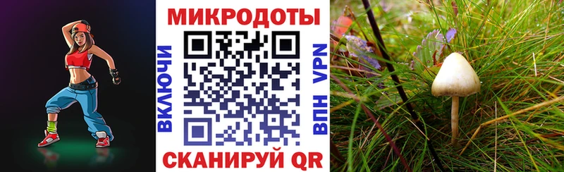 купить наркоту  Облучье  Галлюциногенные грибы прущие грибы 